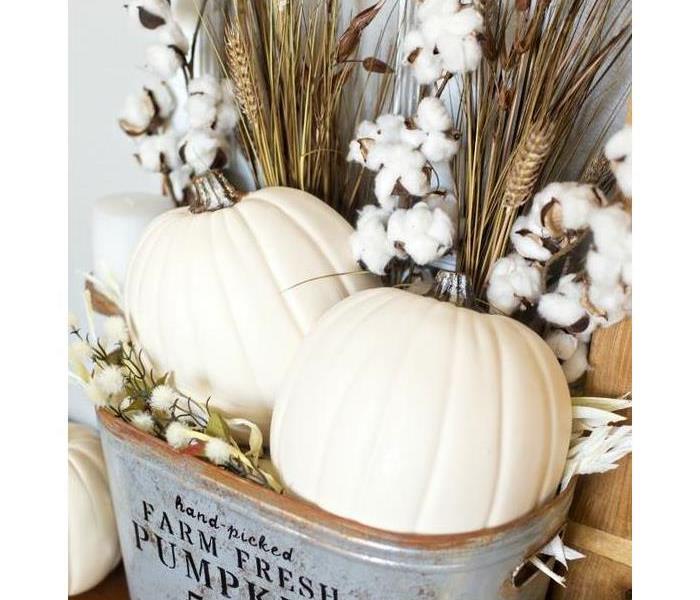 cream pumpkins, metal bucket, Wheat stems, cotton ball stems